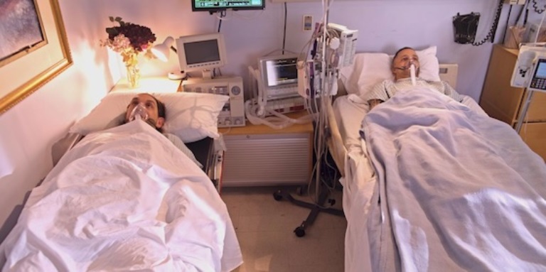 Rufus (2025) / Руфус